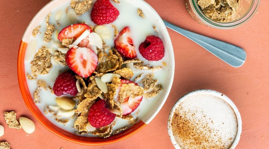 ¿Verdad o mito? Desmontando creencias sobre las alternativas vegetales a los lácteos